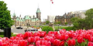 ottawa tulip festival